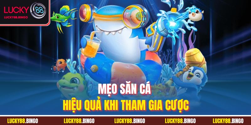 Mẹo săn cá hiệu quả khi tham gia cược