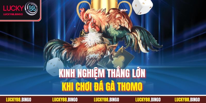 Kinh nghiệm thắng lớn khi chơi đá gà Thomo
