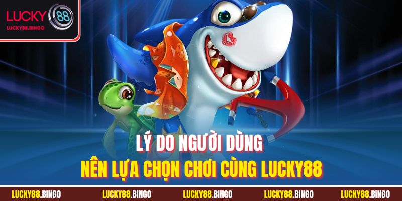 Lý do người dùng nên lựa chọn chơi cùng Lucky88