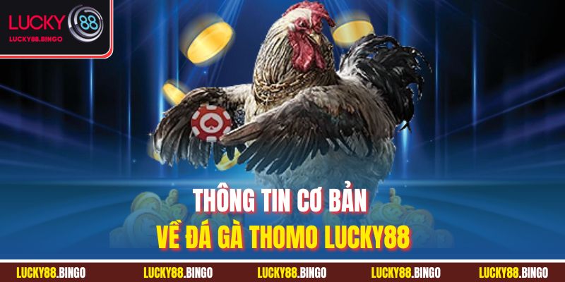 Thông tin cơ bản về đá gà Thomo Lucky88